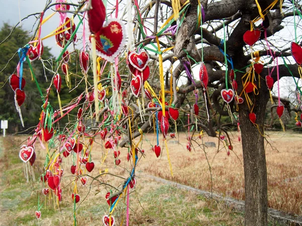 Hearts Hanging from a Tree at Cangshan Mountain in Dali Yunnan C — Stock Photo, Image