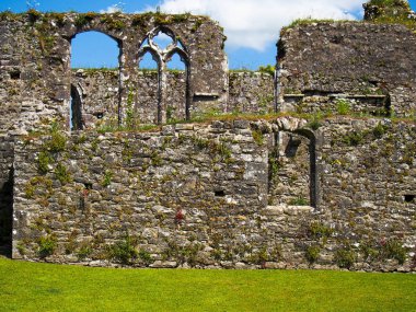 Cork County İrlanda tarikatta Bridgetown Kalesi'nde duvarları