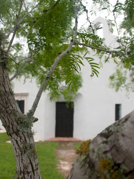 Mesquite träd med spanska uppdrag i bakgrunden Goliad Texas — Stockfoto