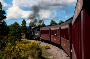 Huelva'daki Toltec doğal demiryolu büyüyen çiçekler