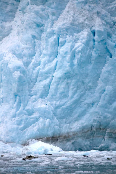 Pohled z ledovce na Aljašce s těsněním na ledě — Stock fotografie
