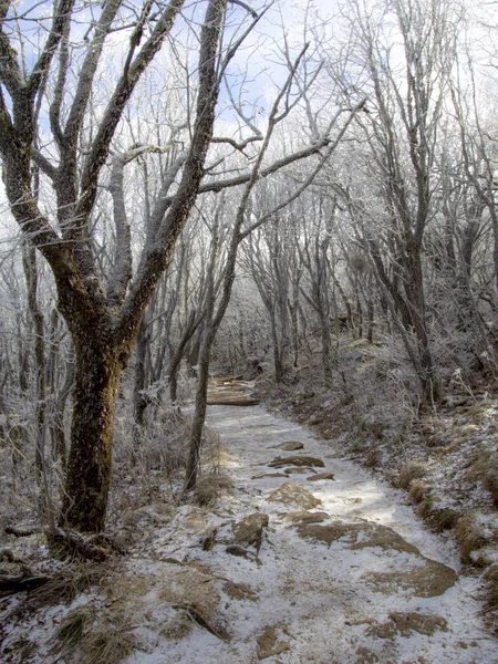 Sentier de randonnée d'hiver Photos De Stock Libres De Droits