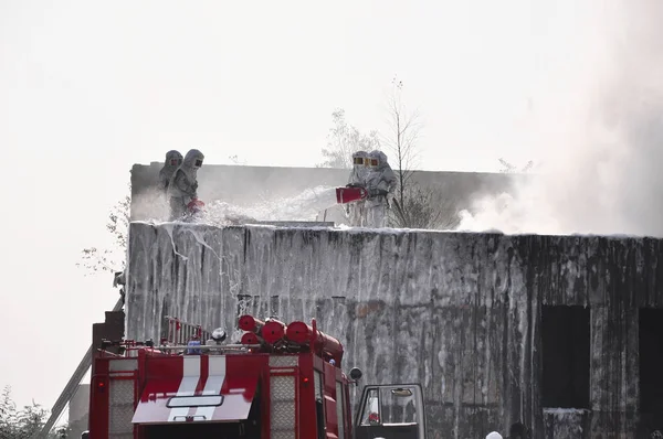 Strażacy na dachu domu — Zdjęcie stockowe