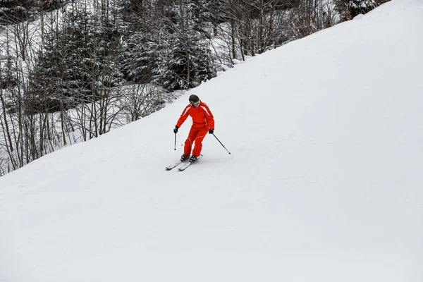 Mand have det sjovt på ski - Stock-foto