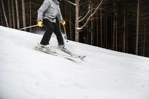 Лыжи зимой — стоковое фото