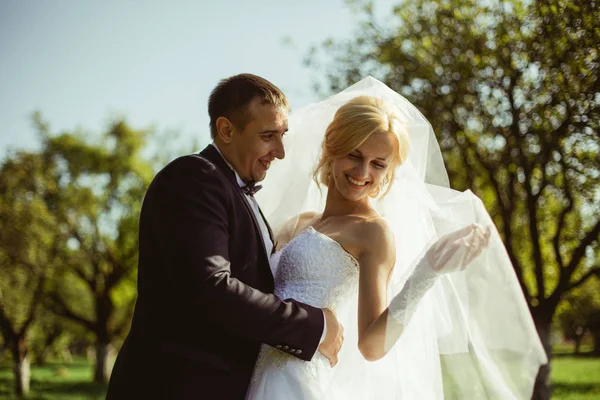 Romantiskt bröllop par nygifta — Stockfoto