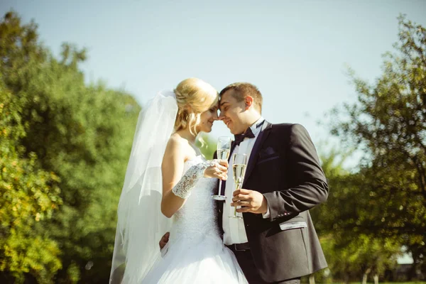 Ifjú pár romantikus esküvő — Stock Fotó