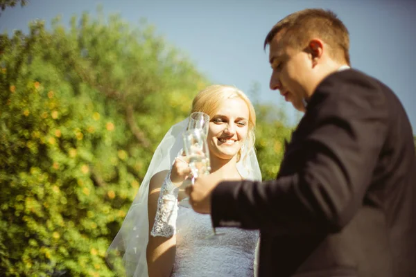 Романтическая свадебная пара молодоженов — стоковое фото