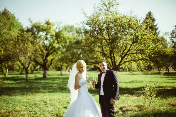 Pareja de recién casados con champán —  Fotos de Stock