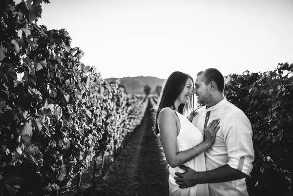 Pár csók Tuscany szőlőhegyen — Stock Fotó