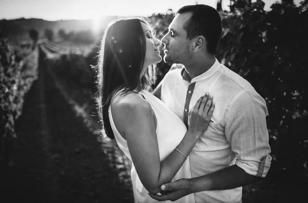 Couple kissing in Tuscany vineyards — Stock Photo, Image