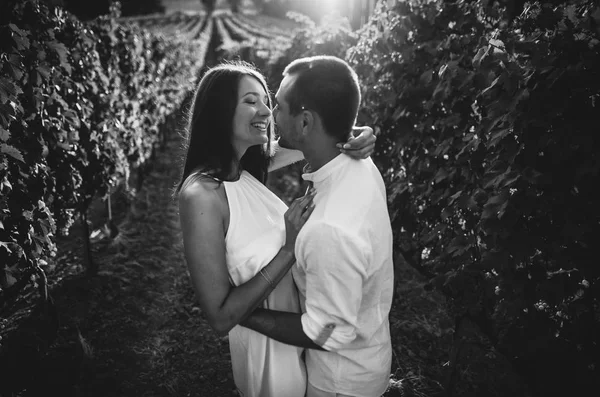 トスカーナのブドウ畑でキスのカップル — ストック写真
