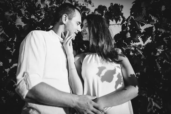 Молода пара цілується в винограднику . — стокове фото