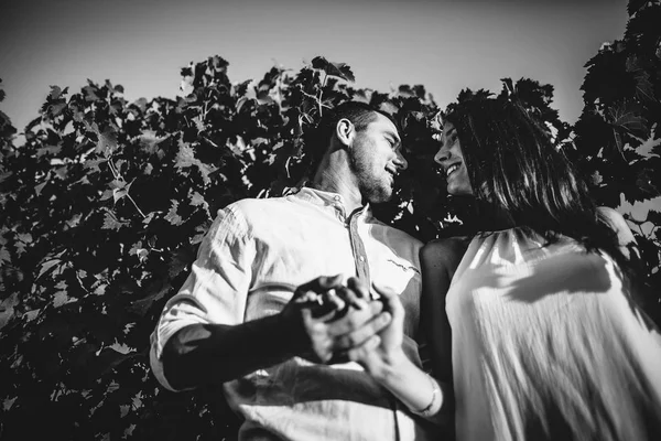 Молодая пара целуется в винограднике . — стоковое фото