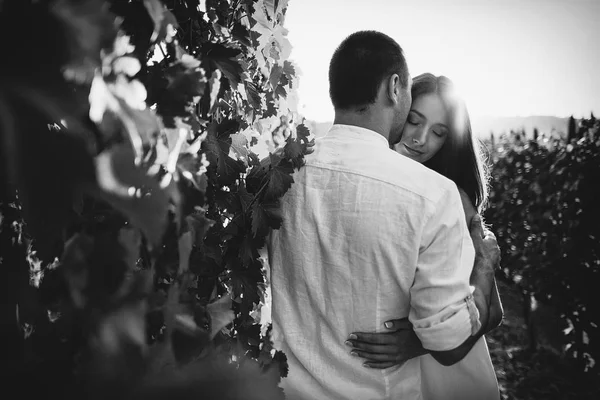 Ungt par kyssas i en vingård. — Stockfoto
