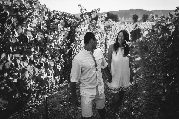 Esküvői pár, a vineyard — Stock Fotó