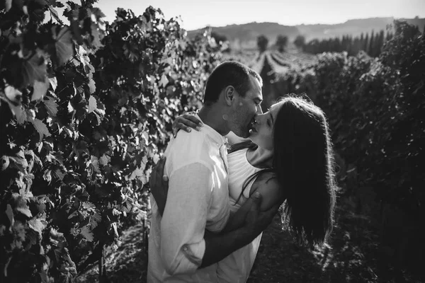 Молодая пара целуется в винограднике . — стоковое фото