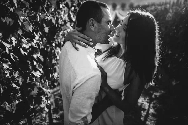 Jeune couple embrasser dans un vignoble . — Photo