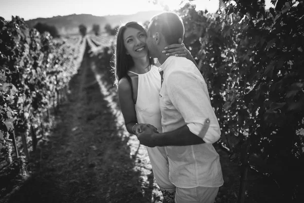 Pareja joven besándose en un viñedo . — Foto de Stock
