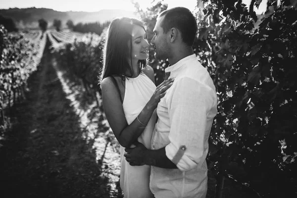 Pareja joven besándose en un viñedo . — Foto de Stock