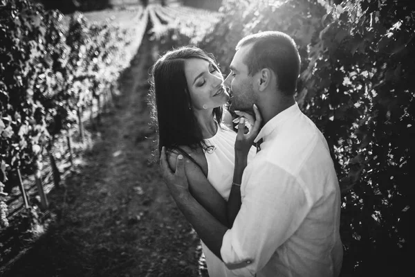 Jeune couple embrasser dans un vignoble . — Photo