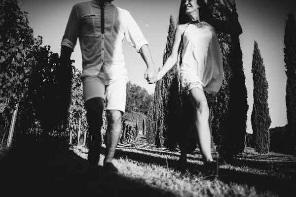 Pareja de boda en el viñedo — Foto de Stock