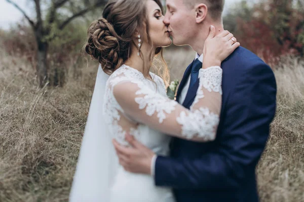 Sposo e sposa passeggiando nel parco — Foto Stock