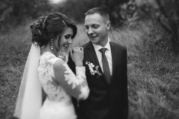 Groom and bride walking in the park — Stock Photo, Image