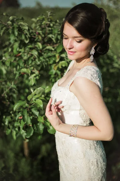 Braut im weißen Kleid im Feld — Stockfoto