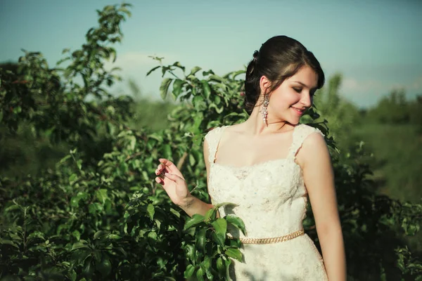 Νύφη με λευκό φόρεμα στο πεδίο — Φωτογραφία Αρχείου