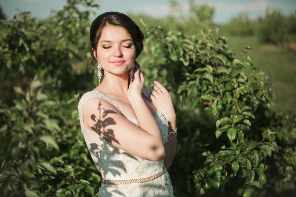 Bruden i vit klänning i fältet — Stockfoto