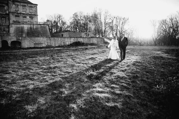 Heureux marié et mariée portrait — Photo