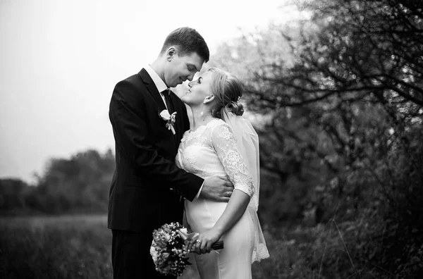 Щасливий наречений і портрет нареченої — стокове фото