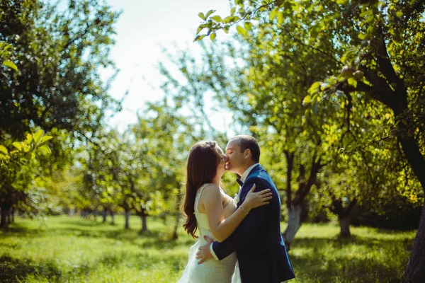 Damat ve gelin mutlu portre — Stok fotoğraf