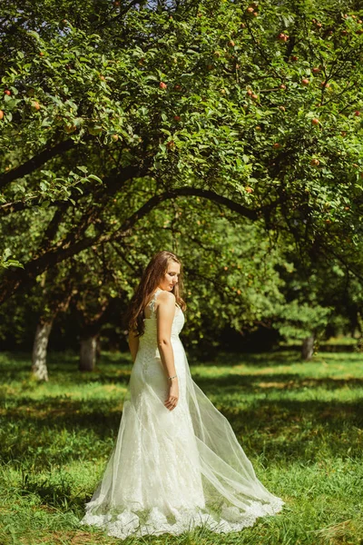若いきれいな花嫁の肖像画 — ストック写真