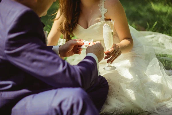 Bräutigam und Braut Porträt mit Champagner — Stockfoto