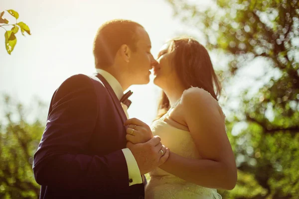 Šťastný ženich a nevěsta portrét — Stock fotografie