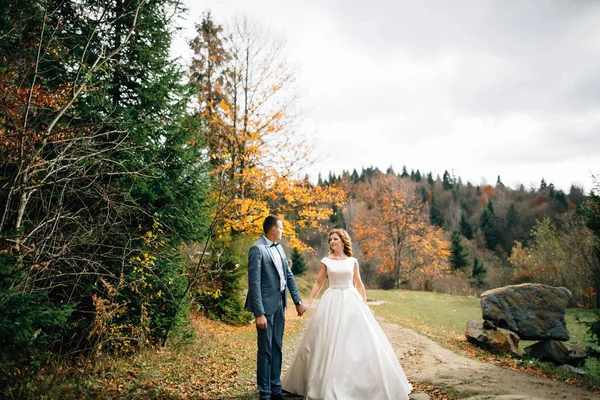 Hochzeitspaar zu Fuß in den Bergen — Stockfoto