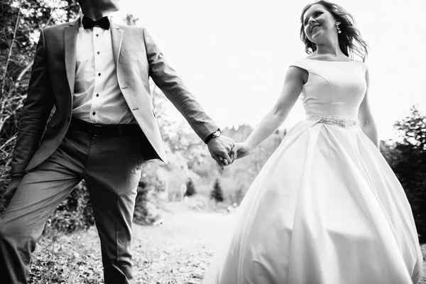 Wedding couple walking in the mountains — Stock Photo, Image