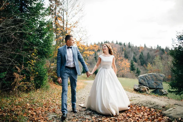 Pareja de boda caminando en las montañas —  Fotos de Stock