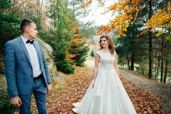 Hochzeitspaar zu Fuß in den Bergen — Stockfoto