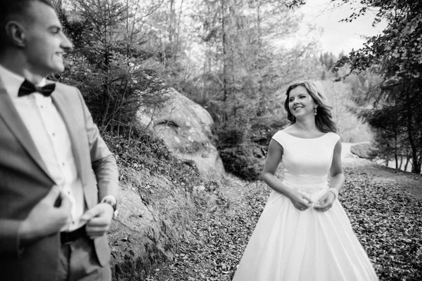 Casal de casamento andando nas montanhas — Fotografia de Stock