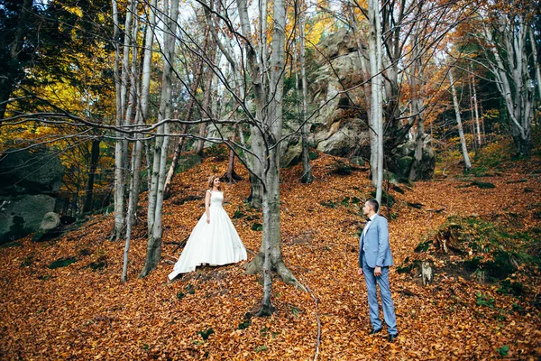 Pareja de boda caminando en las montañas — Foto de Stock