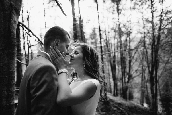 Casal de casamento andando nas montanhas — Fotografia de Stock