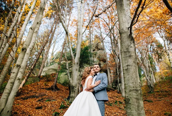 Pareja de boda caminando en las montañas — Foto de Stock