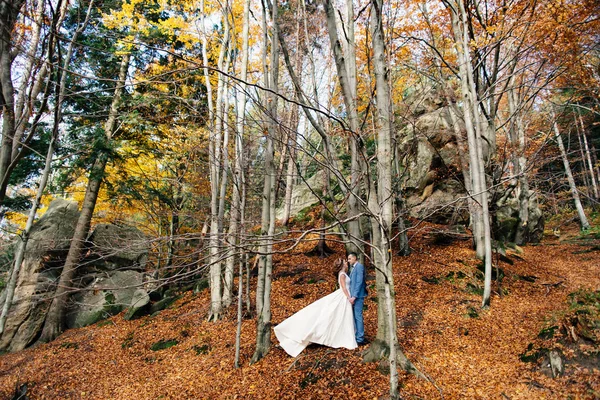 Bröllopsparet vandrar i bergen — Stockfoto