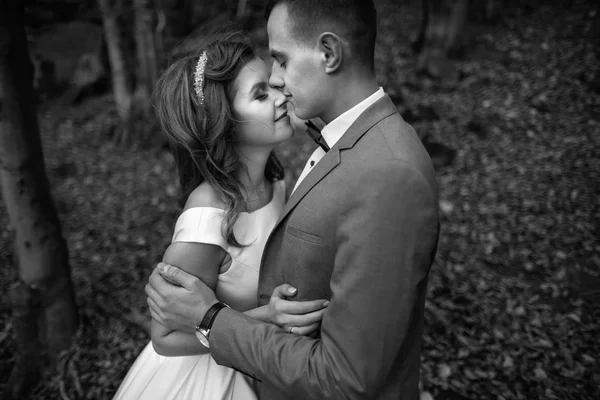 Pareja de boda caminando en las montañas — Foto de Stock