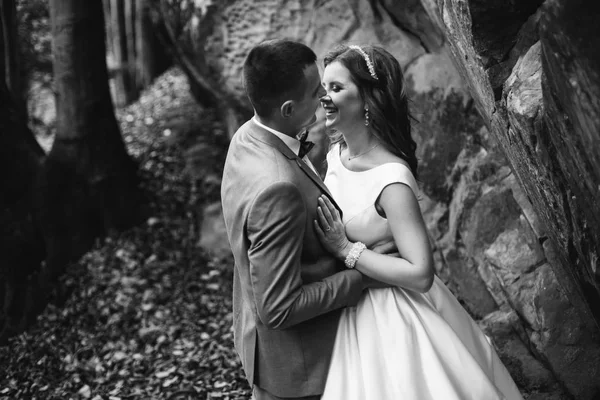 Casal de casamento andando nas montanhas — Fotografia de Stock