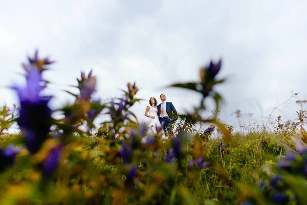 Casal de casamento andando nas montanhas — Fotografia de Stock