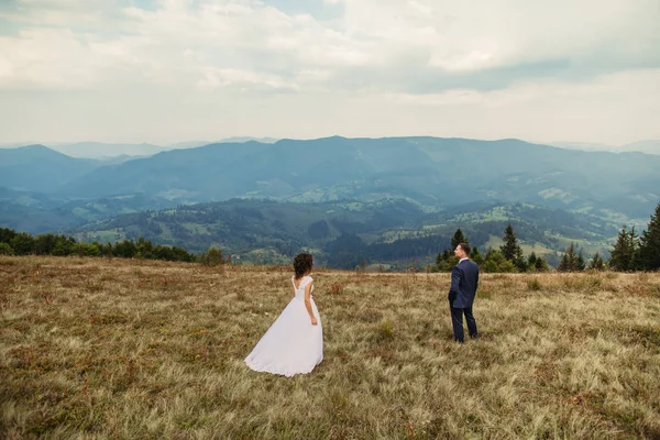 Pareja de boda caminando en las montañas — Foto de Stock